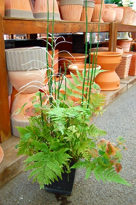 e0025655_5211041.jpg
