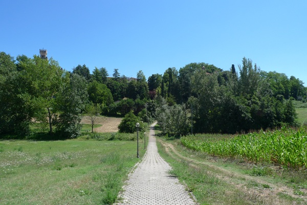 f0204955_945815.jpg