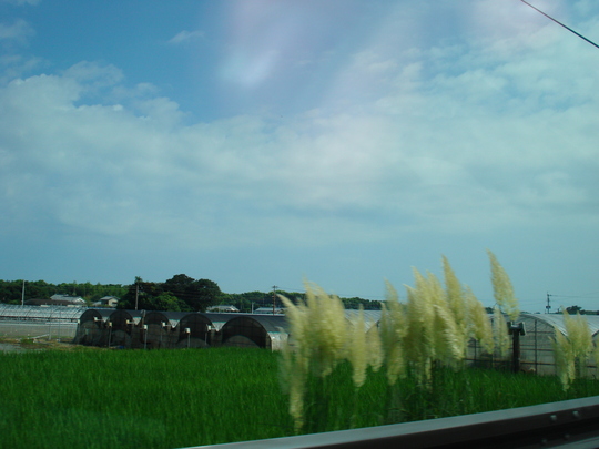 d0174356_21493278.jpg