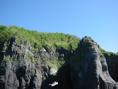 d0158258_12325352.jpg