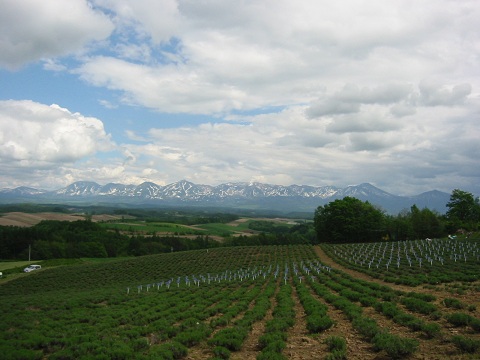 d0158258_12335695.jpg