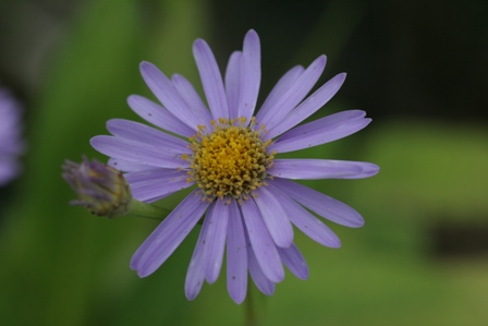 f0209562_9475188.jpg