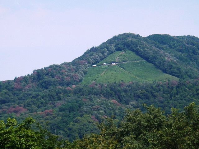 b0044663_12475899.jpg