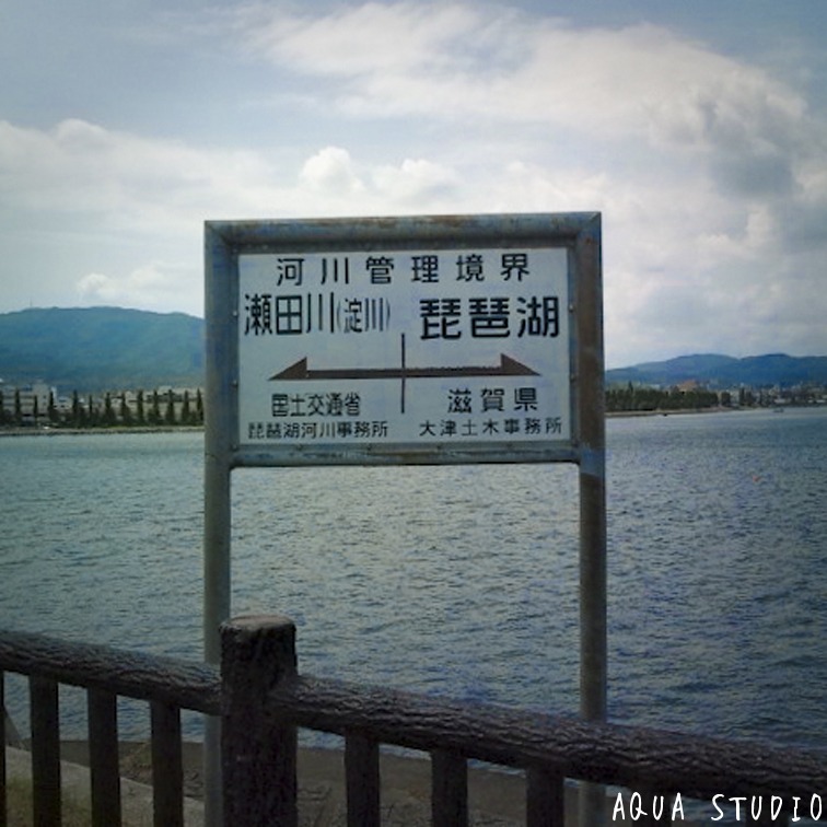 b0113063_1124218.jpg