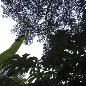 b0122664_123406.jpg