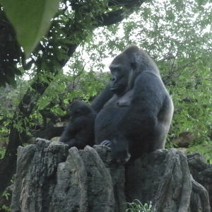 b0122664_1262473.jpg