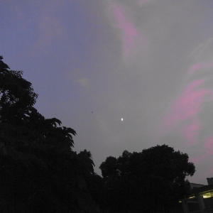b0122664_1292379.jpg