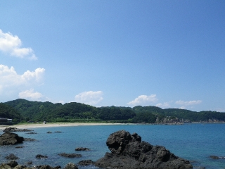 f0055264_207780.jpg