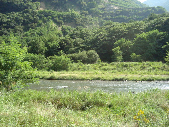 d0152765_21301129.jpg