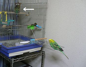 f0196665_03712100.jpg