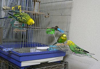 f0196665_0425523.jpg