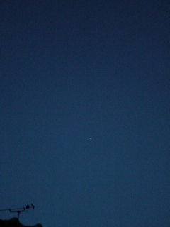 f0209080_5384470.jpg