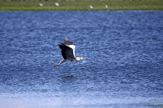 e0190885_20105674.jpg