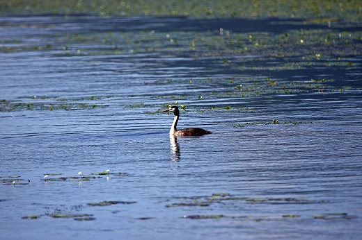 e0190885_20112425.jpg