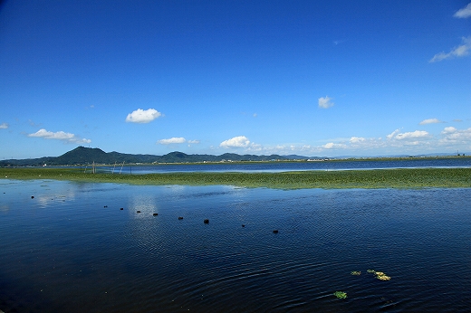 e0190885_20113566.jpg