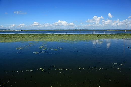 e0190885_2011593.jpg