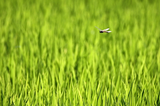 e0190885_20121129.jpg