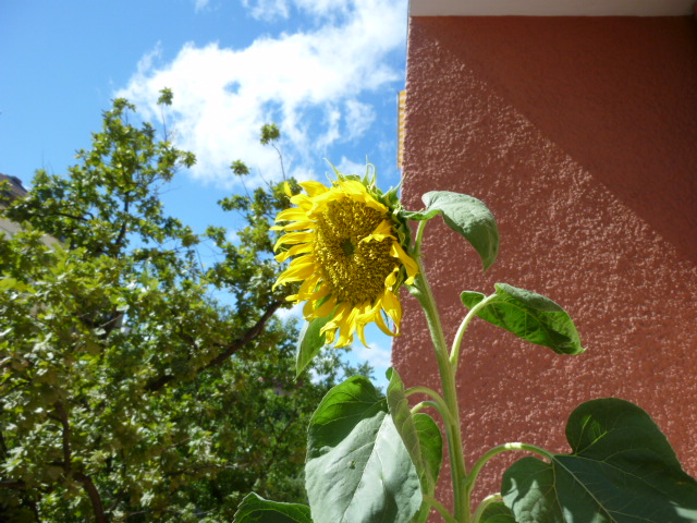 c0180686_15584236.jpg