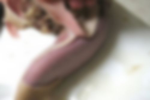 b0148991_9474327.jpg