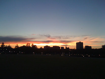 f0201191_2331744.jpg