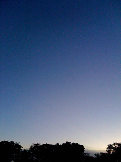 f0201191_2334545.jpg