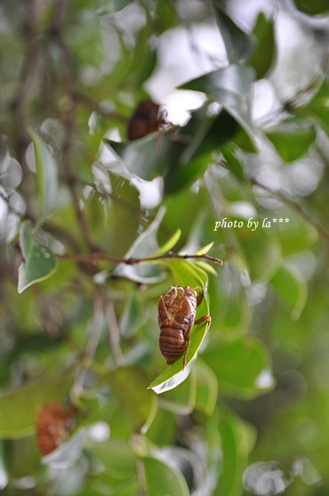 c0215296_1281566.jpg