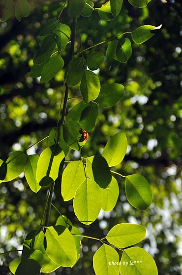 c0215296_1282630.jpg