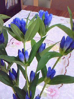 f0008597_0195594.jpg