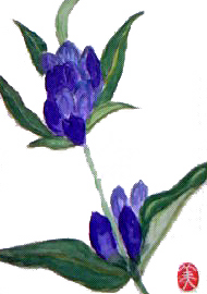 f0008597_0221163.jpg