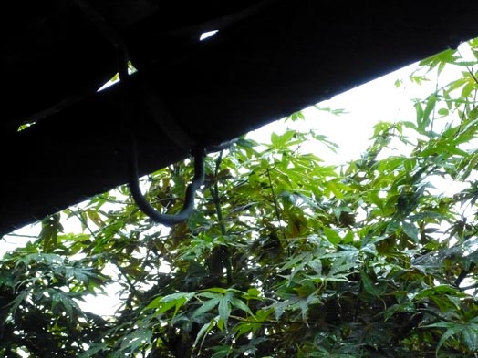 c0124998_2123097.jpg