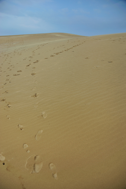 f0178900_22411368.jpg