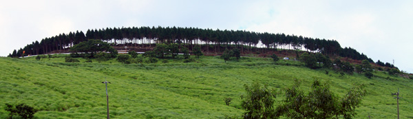 b0014607_145913100.jpg