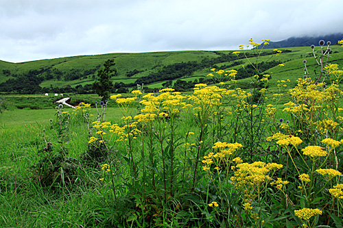 b0014607_14594949.jpg