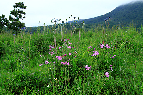 b0014607_1524367.jpg