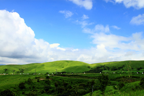 b0014607_155376.jpg