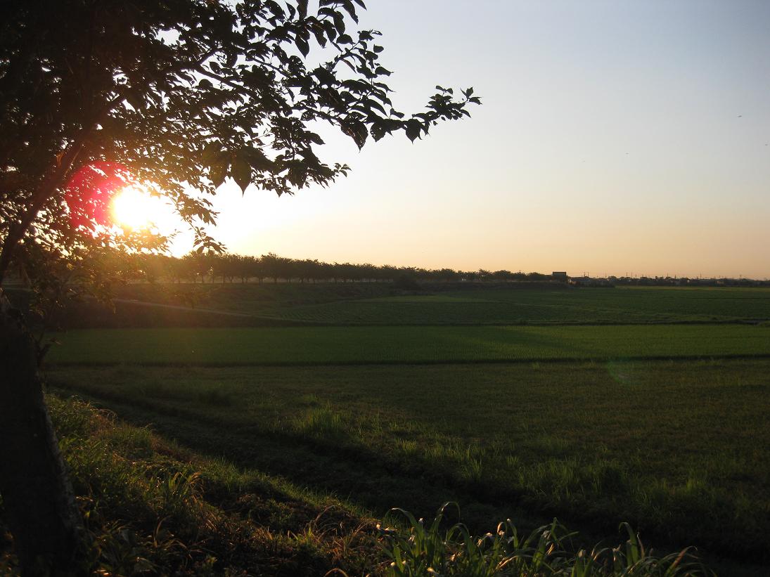 f0179209_1094136.jpg