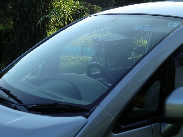 d0037110_23144568.jpg