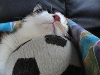 c0201113_20494014.jpg
