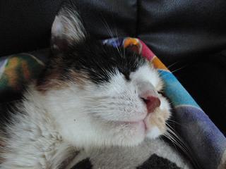 c0201113_20495393.jpg