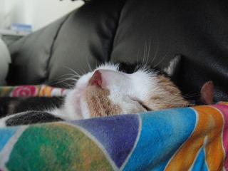 c0201113_2050962.jpg