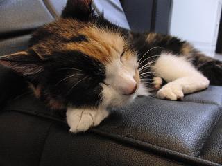 c0201113_2112524.jpg