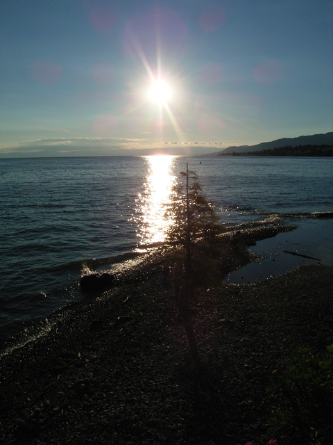 a0030714_882757.jpg