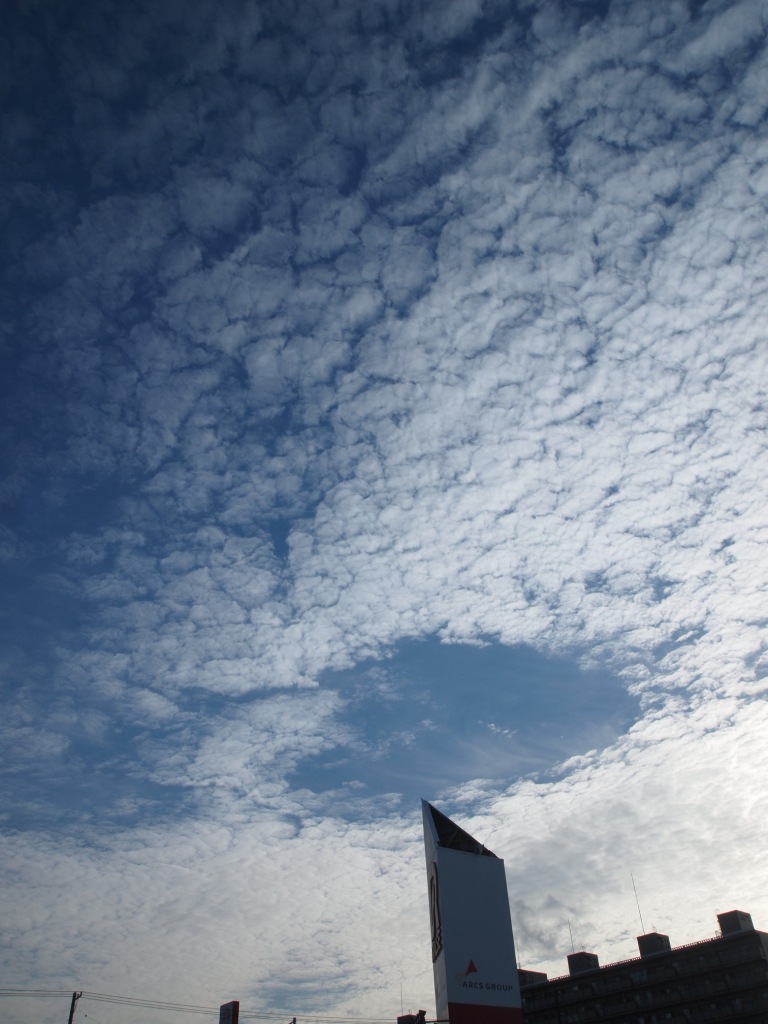 e0113915_8543764.jpg