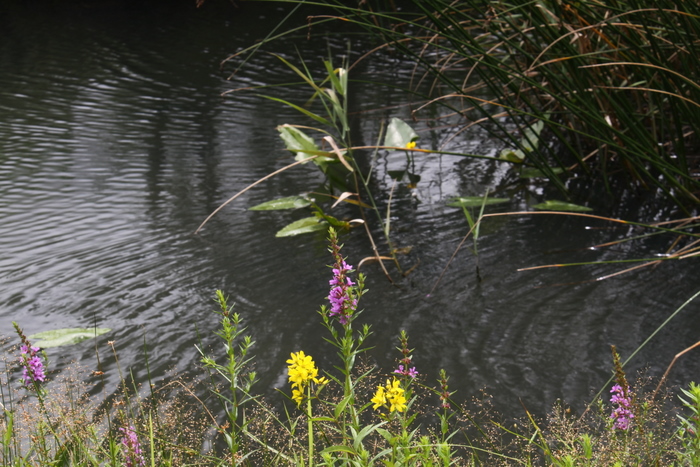 b0165522_1433332.jpg
