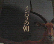 c0141431_22235915.jpg