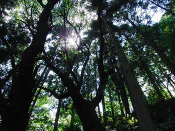 c0183137_22441198.jpg