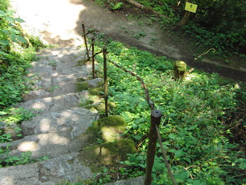 c0183137_22444458.jpg