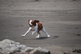 c0136838_2362165.jpg