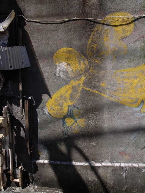 a0087341_834210.jpg