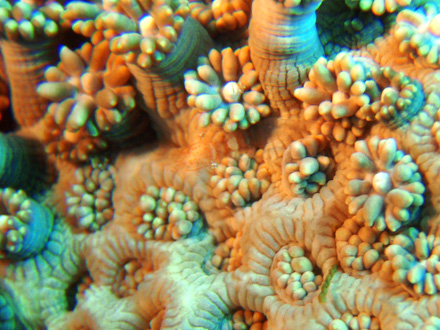 f0014842_1818377.jpg